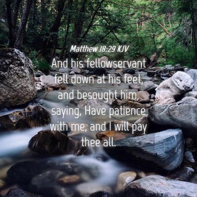 Picture 04 - Matthew 18:29 KJV - And his fellowservant fell down at his feet, and - Bible Verse Picture