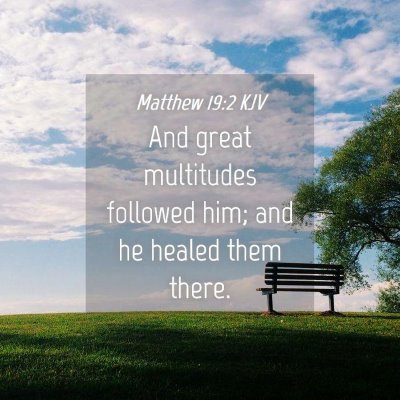 Picture 04 - Matthew 19:2 KJV - And great multitudes followed him; and he healed - Bible Verse Picture