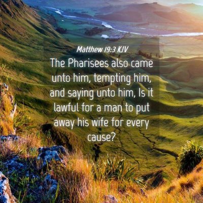 Picture 04 - Matthew 19:3 KJV - The Pharisees also came unto him, tempting him, - Bible Verse Picture
