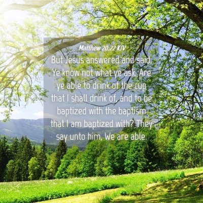 Picture 04 - Matthew 20:22 KJV - But Jesus answered and said, Ye know not what ye - Bible Verse Picture
