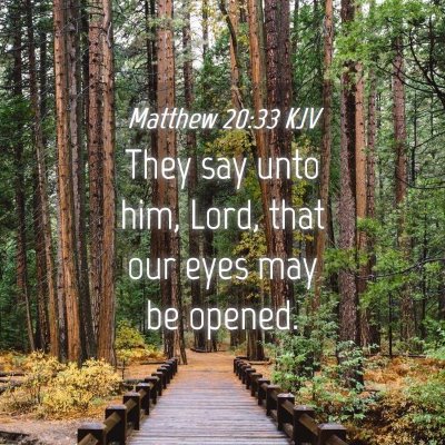 Picture 04 - Matthew 20:33 KJV - They say unto him, Lord, that our eyes may be - Bible Verse Picture
