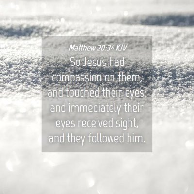 Picture 04 - Matthew 20:34 KJV - So Jesus had compassion on them, and touched - Bible Verse Picture