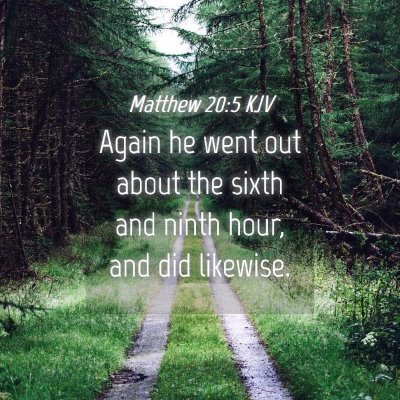 Picture 04 - Matthew 20:5 KJV - Again he went out about the sixth and ninth hour, - Bible Verse Picture
