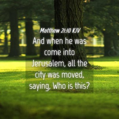 Picture 04 - Matthew 21:10 KJV - And when he was come into Jerusalem, all the city - Bible Verse Picture