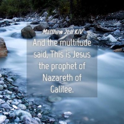 Picture 04 - Matthew 21:11 KJV - And the multitude said, This is Jesus the prophet - Bible Verse Picture