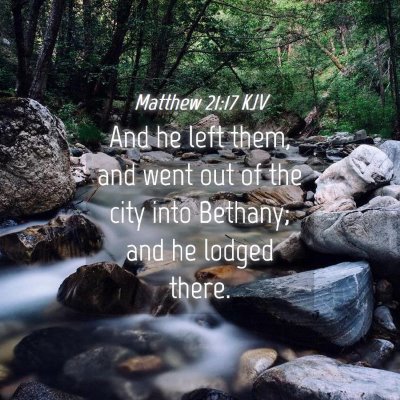 Picture 04 - Matthew 21:17 KJV - And he left them, and went out of the city into - Bible Verse Picture