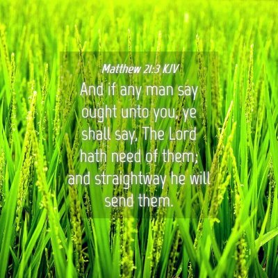Picture 04 - Matthew 21:3 KJV - And if any man say ought unto you, ye shall say, - Bible Verse Picture