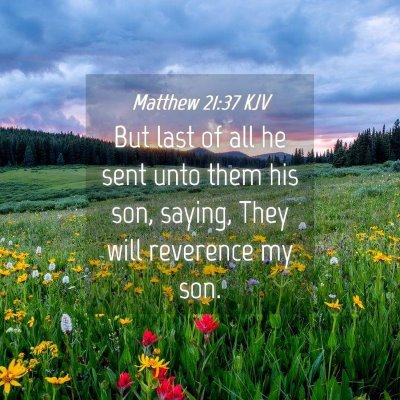 Picture 04 - Matthew 21:37 KJV - But last of all he sent unto them his son, - Bible Verse Picture