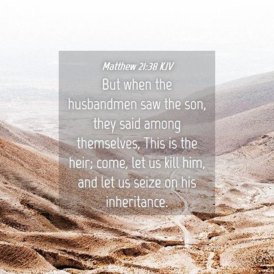 Picture 04 - Matthew 21:38 KJV - But when the husbandmen saw the son, they said - Bible Verse Picture