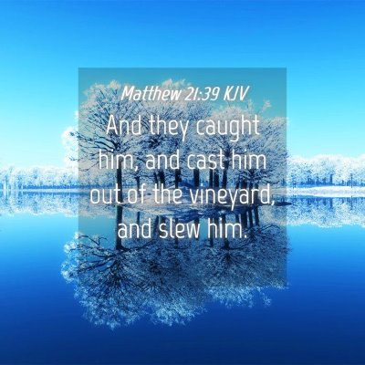 Picture 04 - Matthew 21:39 KJV - And they caught him, and cast him out of the - Bible Verse Picture