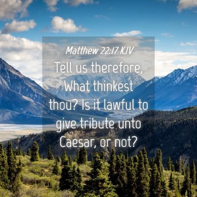 Picture 04 - Matthew 22:17 KJV - Tell us therefore, What thinkest thou? Is it - Bible Verse Picture