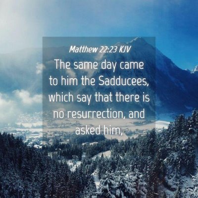 Picture 04 - Matthew 22:23 KJV - The same day came to him the Sadducees, which say - Bible Verse Picture