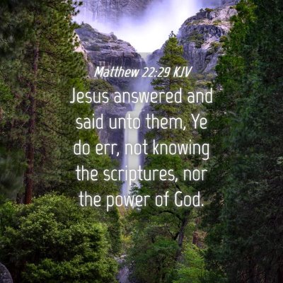 Picture 04 - Matthew 22:29 KJV - Jesus answered and said unto them, Ye do err, not - Bible Verse Picture