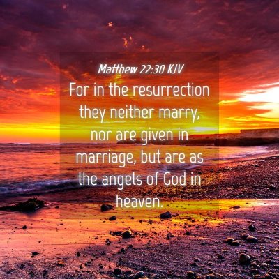 Picture 04 - Matthew 22:30 KJV - For in the resurrection they neither marry, nor - Bible Verse Picture