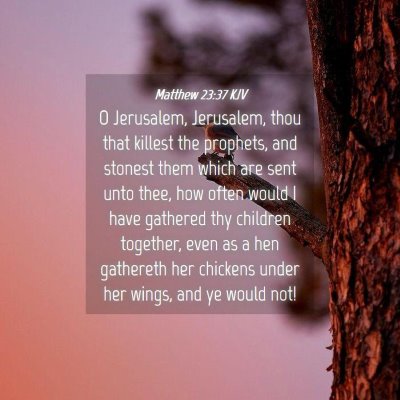 Picture 04 - Matthew 23:37 KJV - O Jerusalem, Jerusalem, thou that killest the - Bible Verse Picture