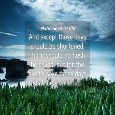 Picture 04 - Matthew 24:22 KJV - And except those days should be shortened, there - Bible Verse Picture
