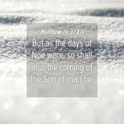 Picture 04 - Matthew 24:37 KJV - But as the days of Noe were, so shall also the - Bible Verse Picture