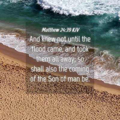 Picture 04 - Matthew 24:39 KJV - And knew not until the flood came, and took them - Bible Verse Picture