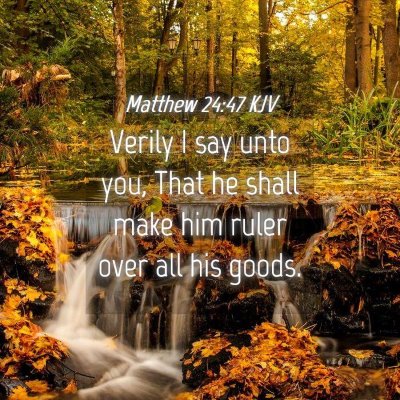 Picture 04 - Matthew 24:47 KJV - Verily I say unto you, That he shall make him - Bible Verse Picture