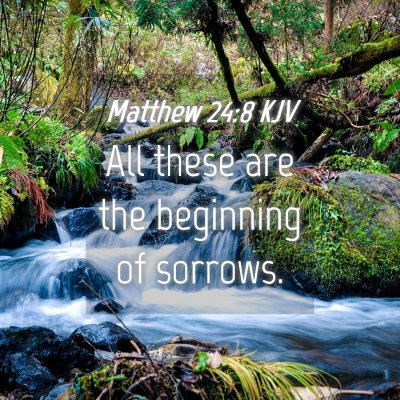 Picture 04 - Matthew 24:8 KJV - All these are the beginning of - Bible Verse Picture