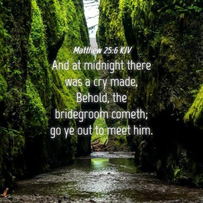 Picture 04 - Matthew 25:6 KJV - And at midnight there was a cry made, Behold, the - Bible Verse Picture