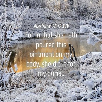 Picture 04 - Matthew 26:12 KJV - For in that she hath poured this ointment on my - Bible Verse Picture