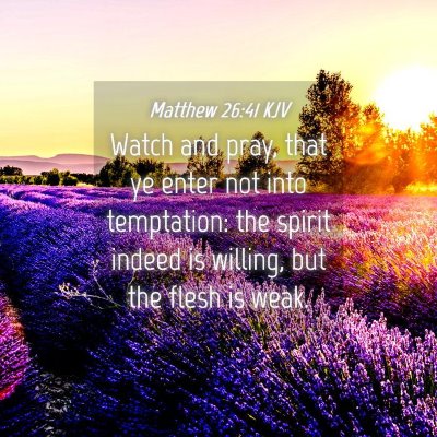 Picture 04 - Matthew 26:41 KJV - Watch and pray, that ye enter not into - Bible Verse Picture