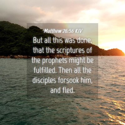 Picture 04 - Matthew 26:56 KJV - But all this was done, that the scriptures of the - Bible Verse Picture