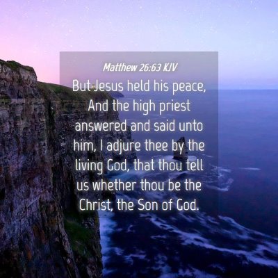 Picture 04 - Matthew 26:63 KJV - But Jesus held his peace, And the high priest - Bible Verse Picture
