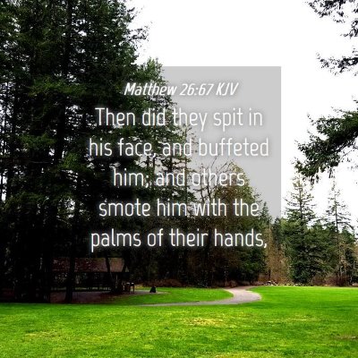 Picture 04 - Matthew 26:67 KJV - Then did they spit in his face, and buffeted him; - Bible Verse Picture