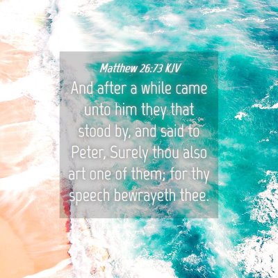 Picture 04 - Matthew 26:73 KJV - And after a while came unto him they that stood - Bible Verse Picture