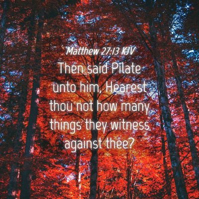 Picture 04 - Matthew 27:13 KJV - Then said Pilate unto him, Hearest thou not how - Bible Verse Picture