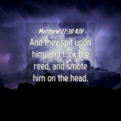 Picture 04 - Matthew 27:30 KJV - And they spit upon him, and took the reed, and - Bible Verse Picture