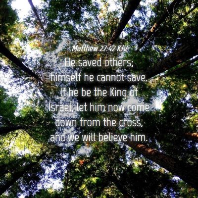 Picture 04 - Matthew 27:42 KJV - He saved others; himself he cannot save. If he be - Bible Verse Picture