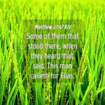 Picture 04 - Matthew 27:47 KJV - Some of them that stood there, when they heard - Bible Verse Picture