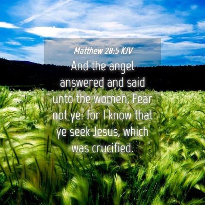 Picture 04 - Matthew 28:5 KJV - And the angel answered and said unto the women, - Bible Verse Picture