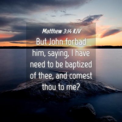 Picture 04 - Matthew 3:14 KJV - But John forbad him, saying, I have need to be - Bible Verse Picture