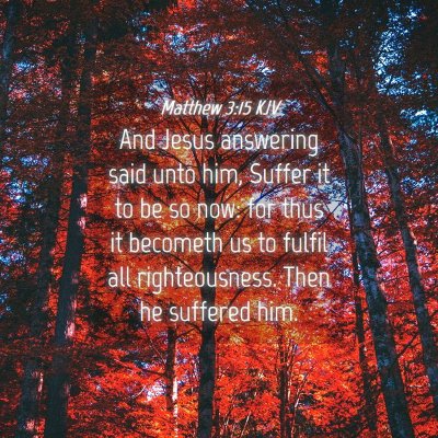 Picture 04 - Matthew 3:15 KJV - And Jesus answering said unto him, Suffer it to - Bible Verse Picture