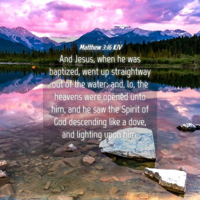 Picture 04 - Matthew 3:16 KJV - And Jesus, when he was baptized, went up - Bible Verse Picture