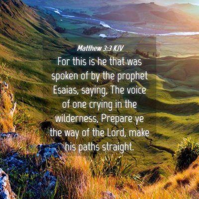 Picture 04 - Matthew 3:3 KJV - For this is he that was spoken of by the prophet - Bible Verse Picture