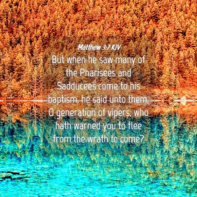 Picture 04 - Matthew 3:7 KJV - But when he saw many of the Pharisees and - Bible Verse Picture