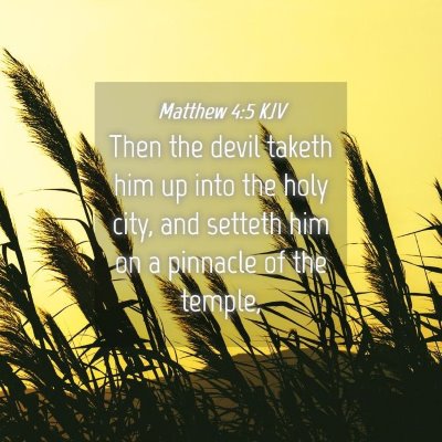 Picture 04 - Matthew 4:5 KJV - Then the devil taketh him up into the holy city, - Bible Verse Picture
