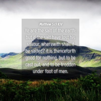 Picture 04 - Matthew 5:13 KJV - Ye are the salt of the earth: but if the salt - Bible Verse Picture