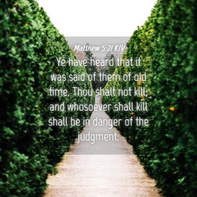 Picture 04 - Matthew 5:21 KJV - Ye have heard that it was said of them of old - Bible Verse Picture