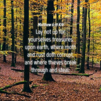 Picture 04 - Matthew 6:19 KJV - Lay not up for yourselves treasures upon earth, - Bible Verse Picture