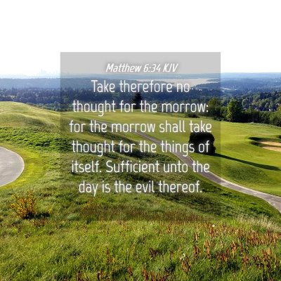 Picture 04 - Matthew 6:34 KJV - Take therefore no thought for the morrow: for the - Bible Verse Picture