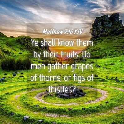 Picture 04 - Matthew 7:16 KJV - Ye shall know them by their fruits. Do men gather - Bible Verse Picture