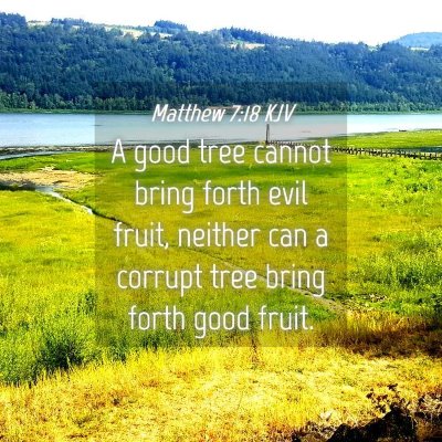 Picture 04 - Matthew 7:18 KJV - A good tree cannot bring forth evil fruit, - Bible Verse Picture