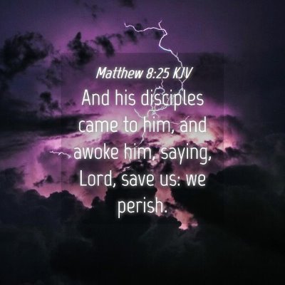 Picture 04 - Matthew 8:25 KJV - And his disciples came to him, and awoke him, - Bible Verse Picture