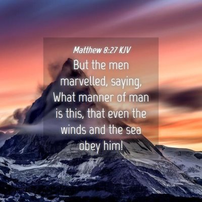 Picture 04 - Matthew 8:27 KJV - But the men marvelled, saying, What manner of man - Bible Verse Picture